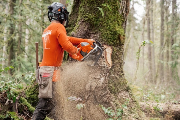 Husqvarna 592 XP Motorlu Testere