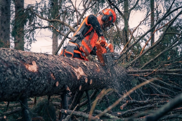 Husqvarna 592 XP Motorlu Testere