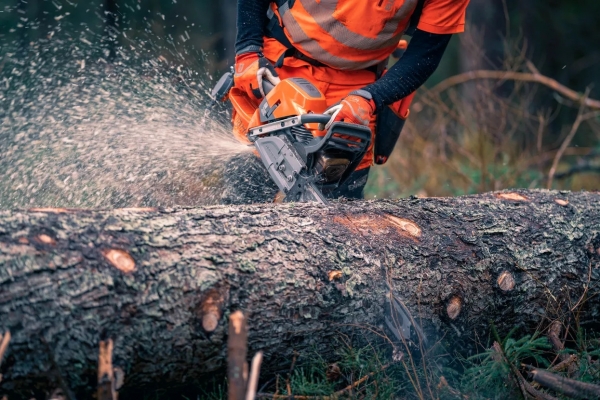Husqvarna 592 XP Motorlu Testere