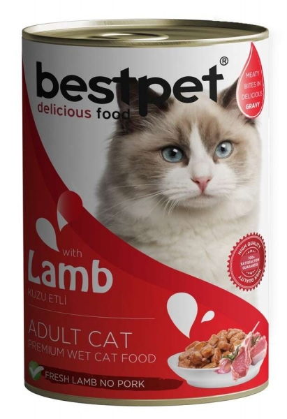 Bestpet Gravy Kuzu Etli 400 gr Kedi Maması