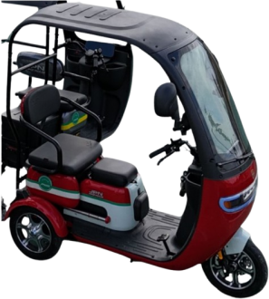 JPN Motor Robin Moped