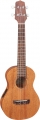 Takamine EGUC1 resim