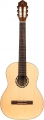 Ortega Family R121 resim