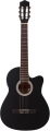 Carissa CG-155CE resim
