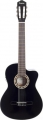 Carissa CG-160CE resim