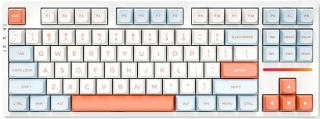 VGN V87 Silver Klavye