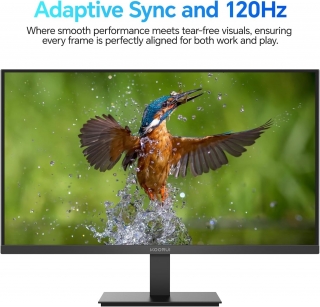 Koorui E2411K Monitör