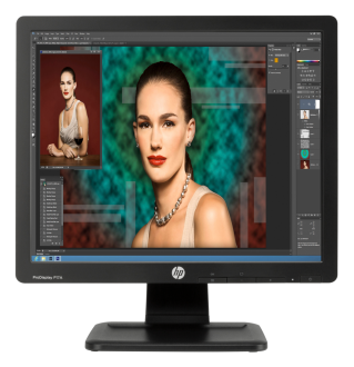 HP ProDisplay P17A (F4M97AA) Monitör