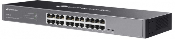 TP-Link Omada DS1024G Switch