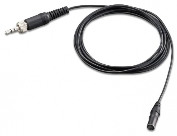 Zoom LMF-2 Mikrofon