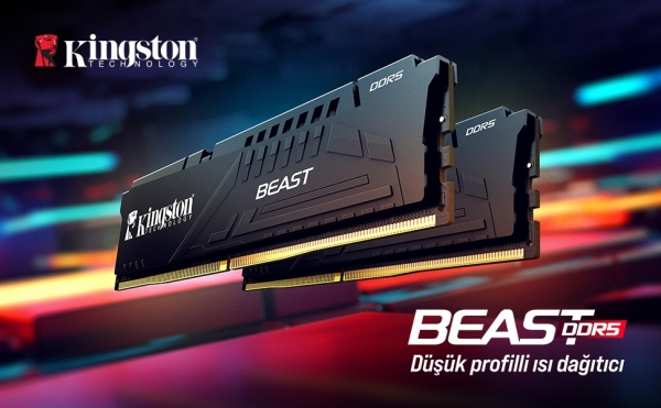 Kingston Beast 32 GB 6800 MT