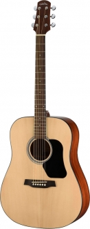 Walden D450 Akustik Gitar