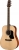 Walden D450 Akustik Gitar