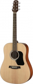 Walden D350 Akustik Gitar