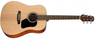 Walden D350 Akustik Gitar