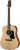 Walden D350 Akustik Gitar