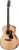 Walden G550RE Elektro Akustik Gitar
