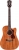 Guild D-120CE Elektro Akustik Gitar