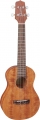 Takamine GUC1 resim