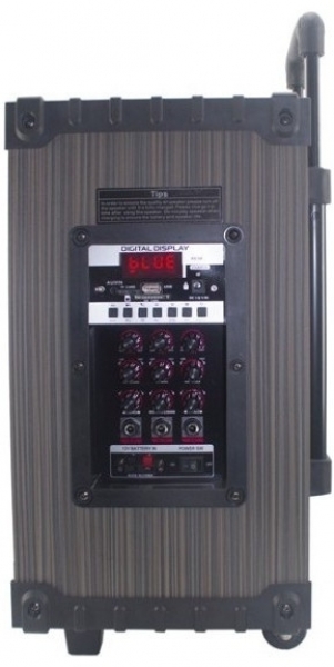 Platoon PL-4614 Müzik Sistemi (100 W)