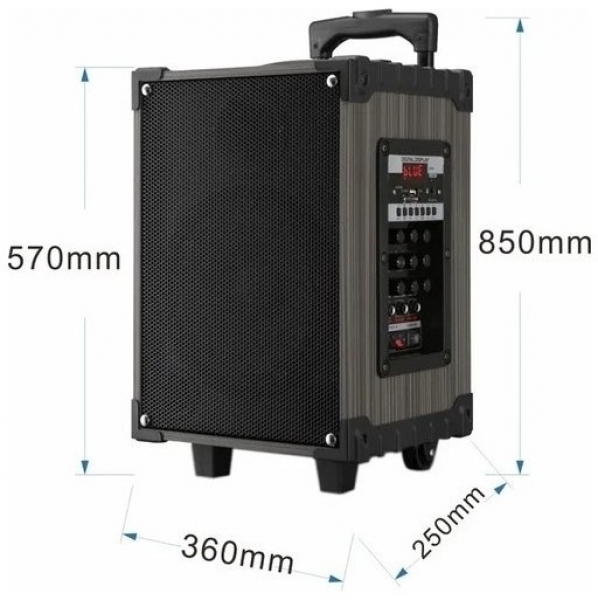 Platoon PL-4614 Müzik Sistemi (100 W)