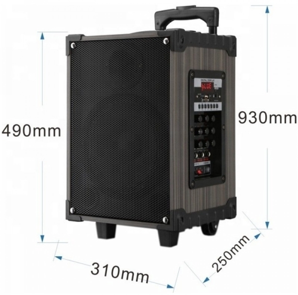 Platoon PL-4613 Müzik Sistemi (20 W)