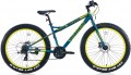 Bianchi Buffalo 26 resim