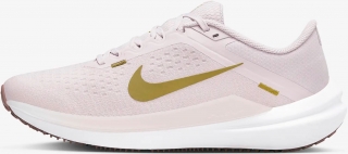 Nike Winflo 10 Kadın Spor Ayakkabı