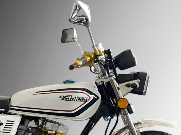 Falcon Super Attack 100 Cub
