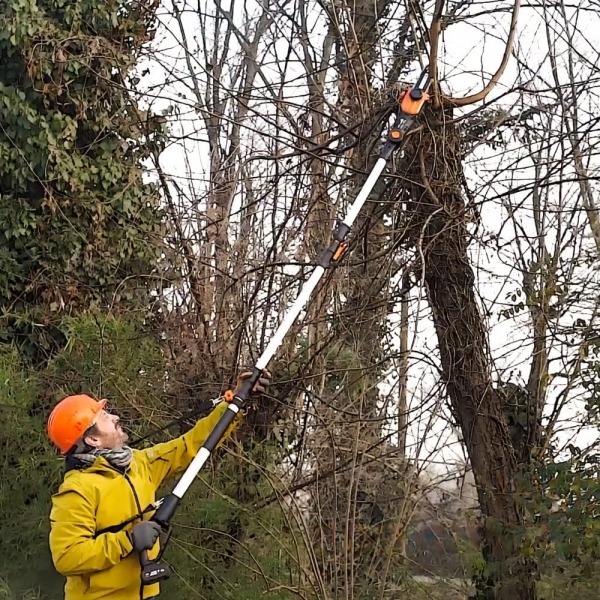 Worx WG349E Budama Testeresi