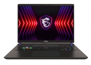 MSI Vector 16 HX A13VHG-495TRW20 Laptop