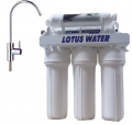 Lotus Water Lotus Covey resim