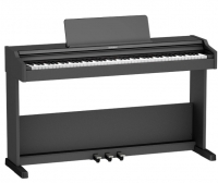 Roland RP107 resim