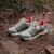 Adidas Terrex Disney Agravic Boa Trail Çocuk Spor Ayakkabı