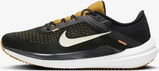 Nike Winflo 10 Erkek Spor Ayakkabı