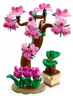 LEGO Friends 41757 Botanical Garden