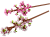 LEGO Iconic 40725 Cherry Blossoms