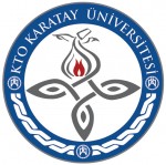 Pilotaj resim